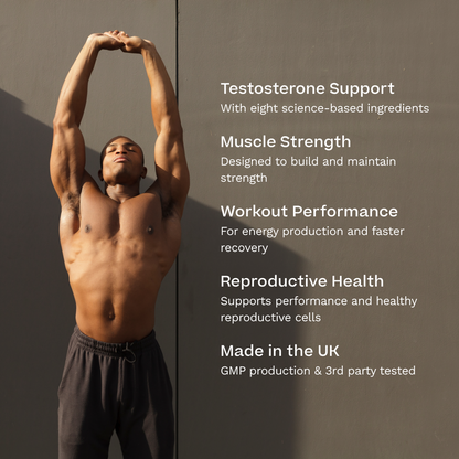 Testosterone Support for Men