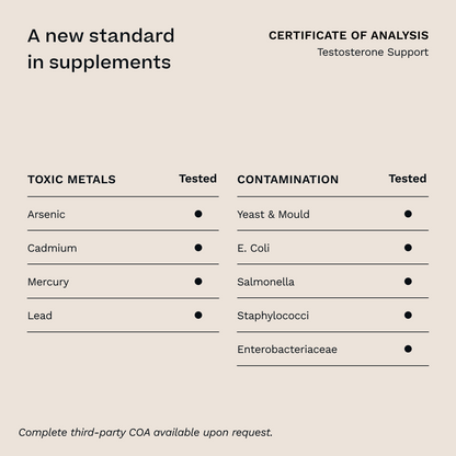 Testosterone Support for Men