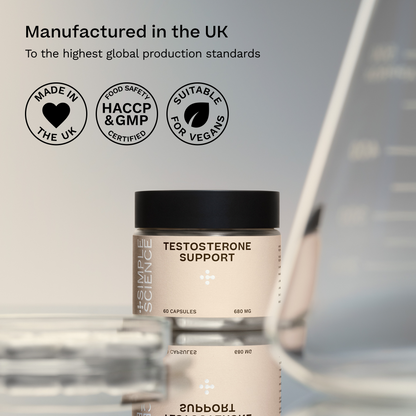 Testosterone Support for Men