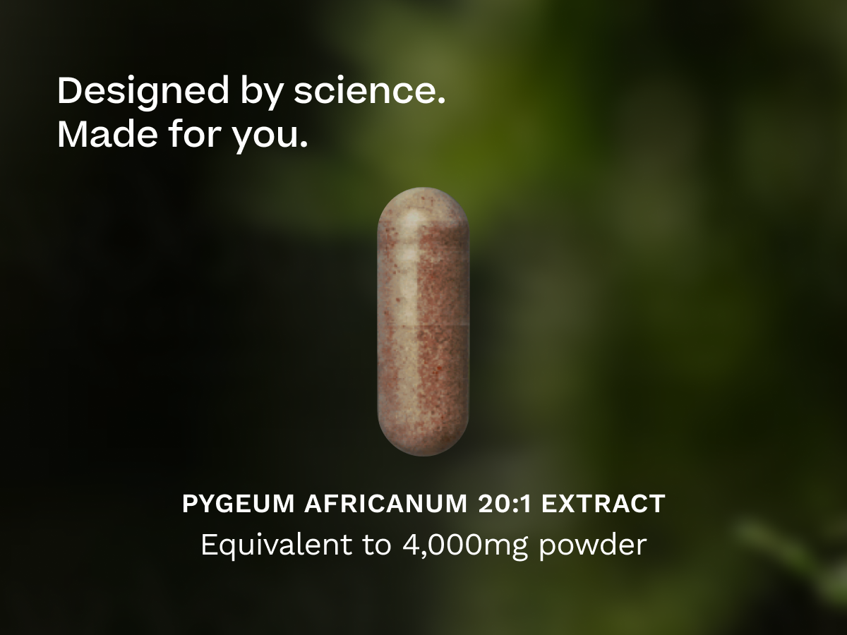 Pygeum Africanum 20:1