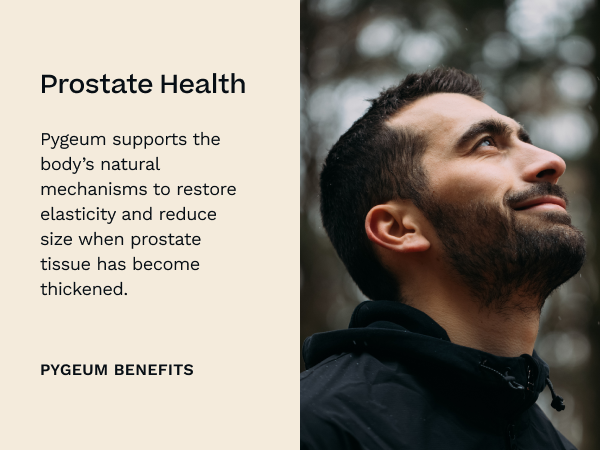 Pygeum Africanum 20:1