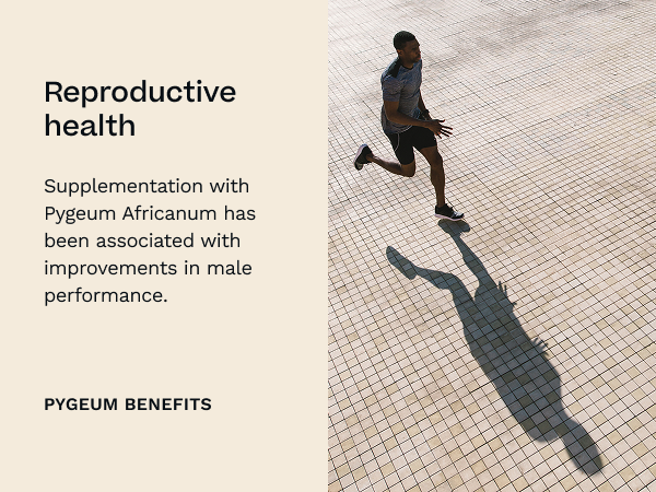 Pygeum Africanum 20:1