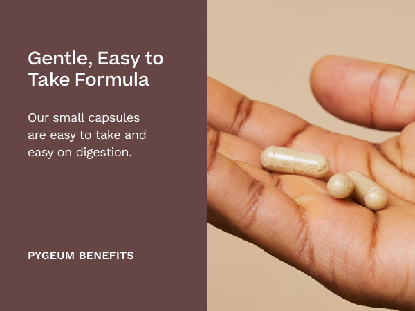 Pygeum Africanum 20:1