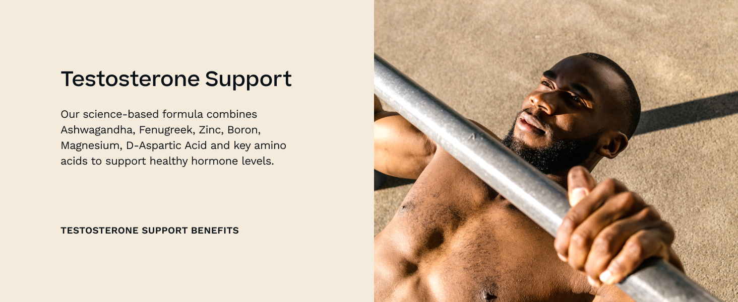 Testosterone Support for Men