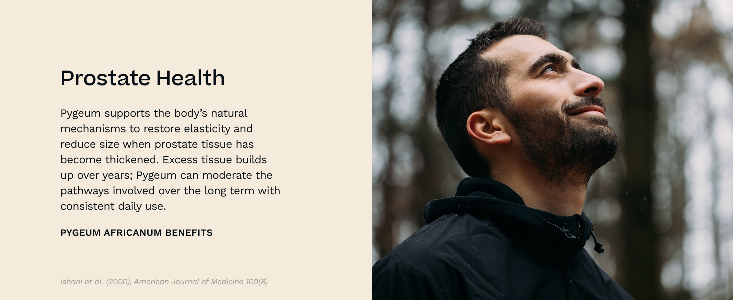 Pygeum Africanum 20:1