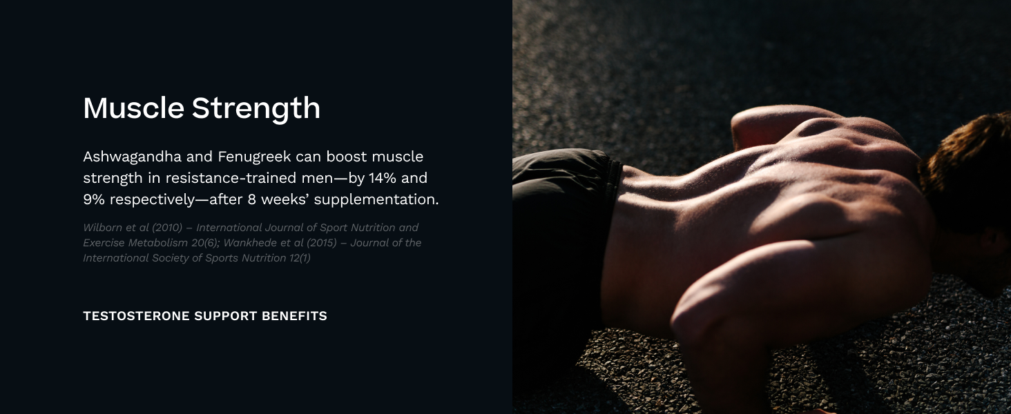 Testosterone Support for Men