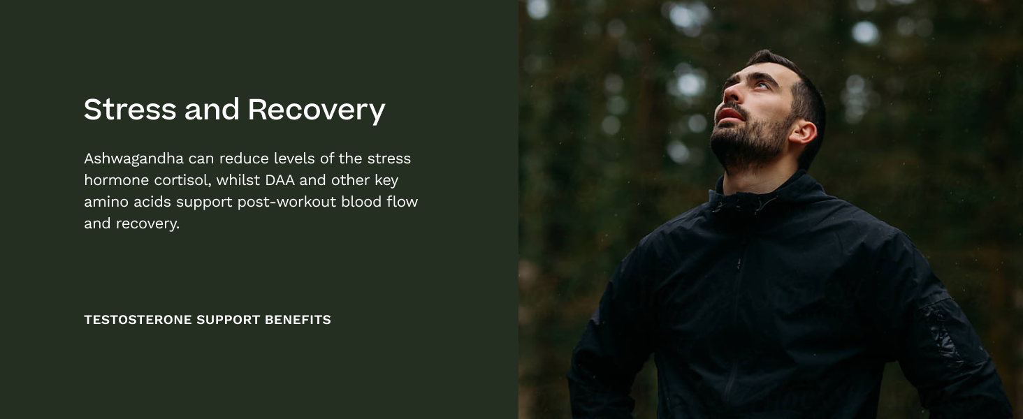 Testosterone Support for Men