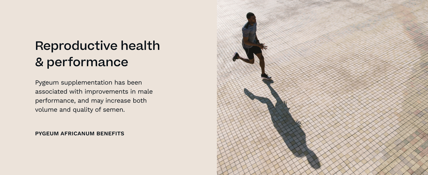 Pygeum Africanum 20:1