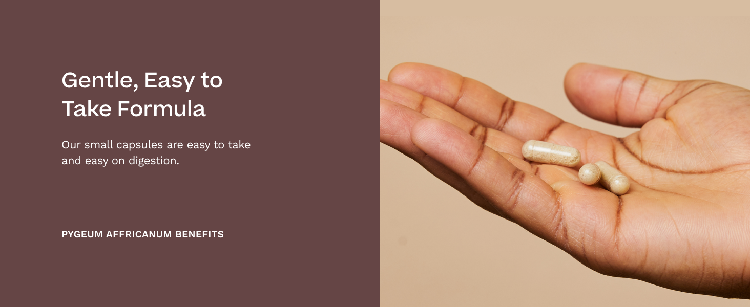Pygeum Africanum 20:1