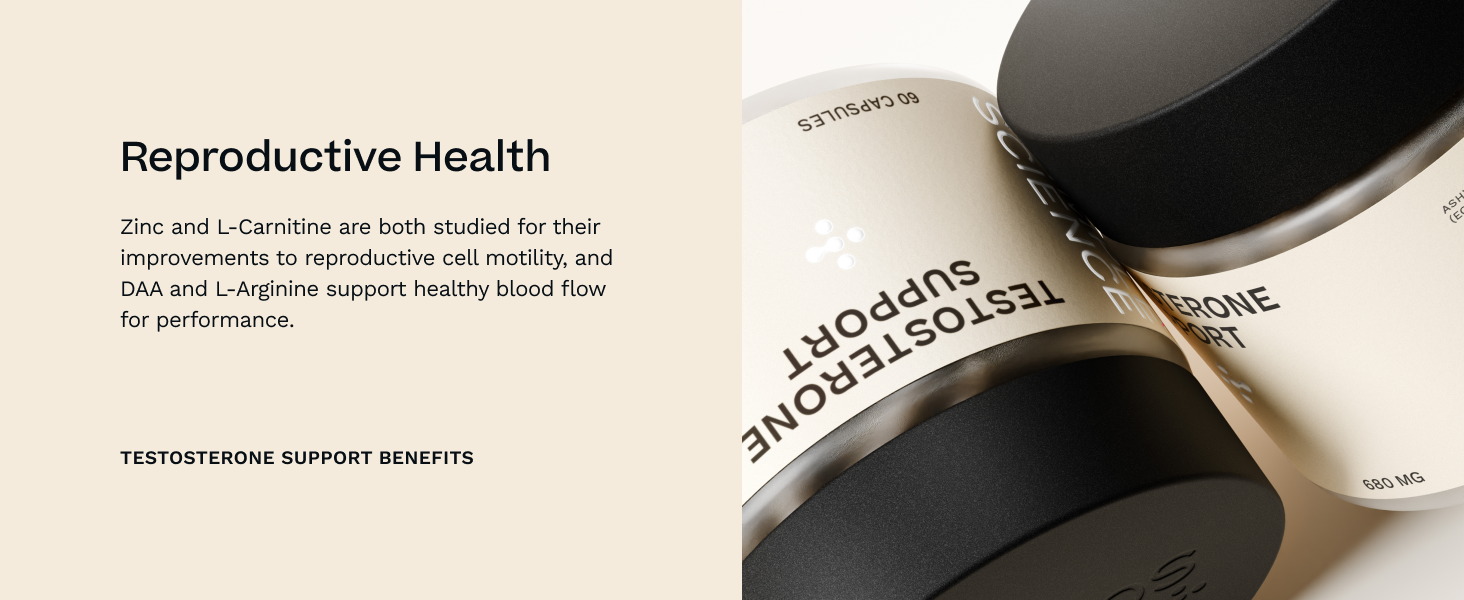 Testosterone Support for Men