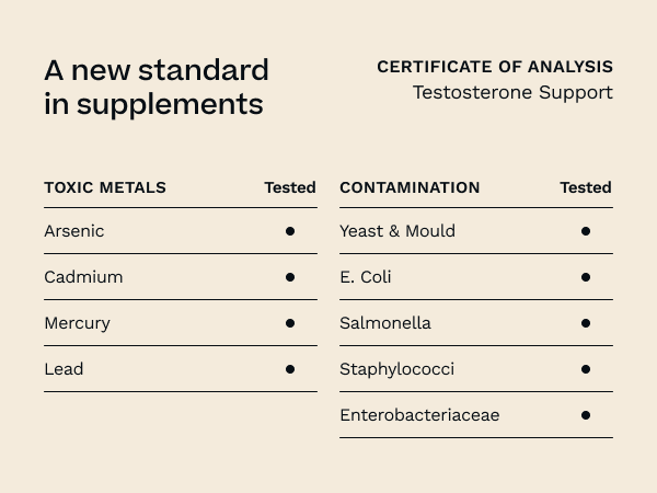 Testosterone Support for Men