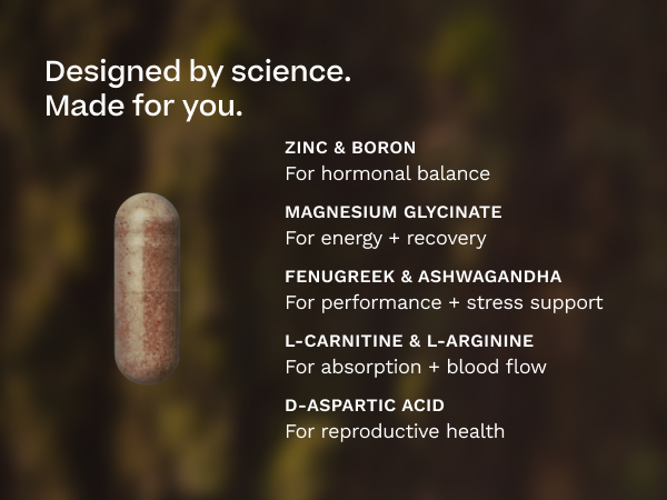 Testosterone Support for Men