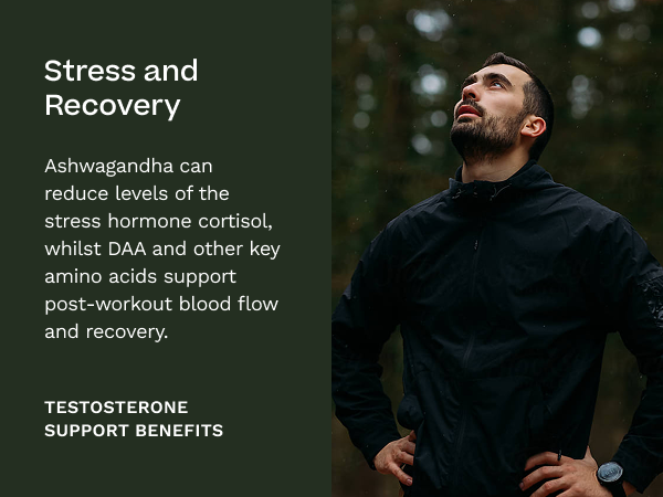 Testosterone Support for Men