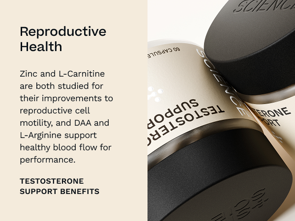 Testosterone Support for Men
