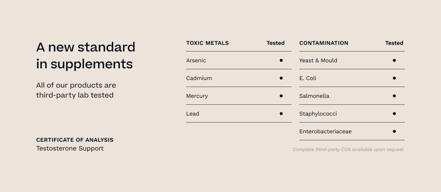 Testosterone Support for Men