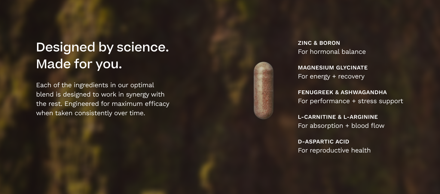 Testosterone Support for Men