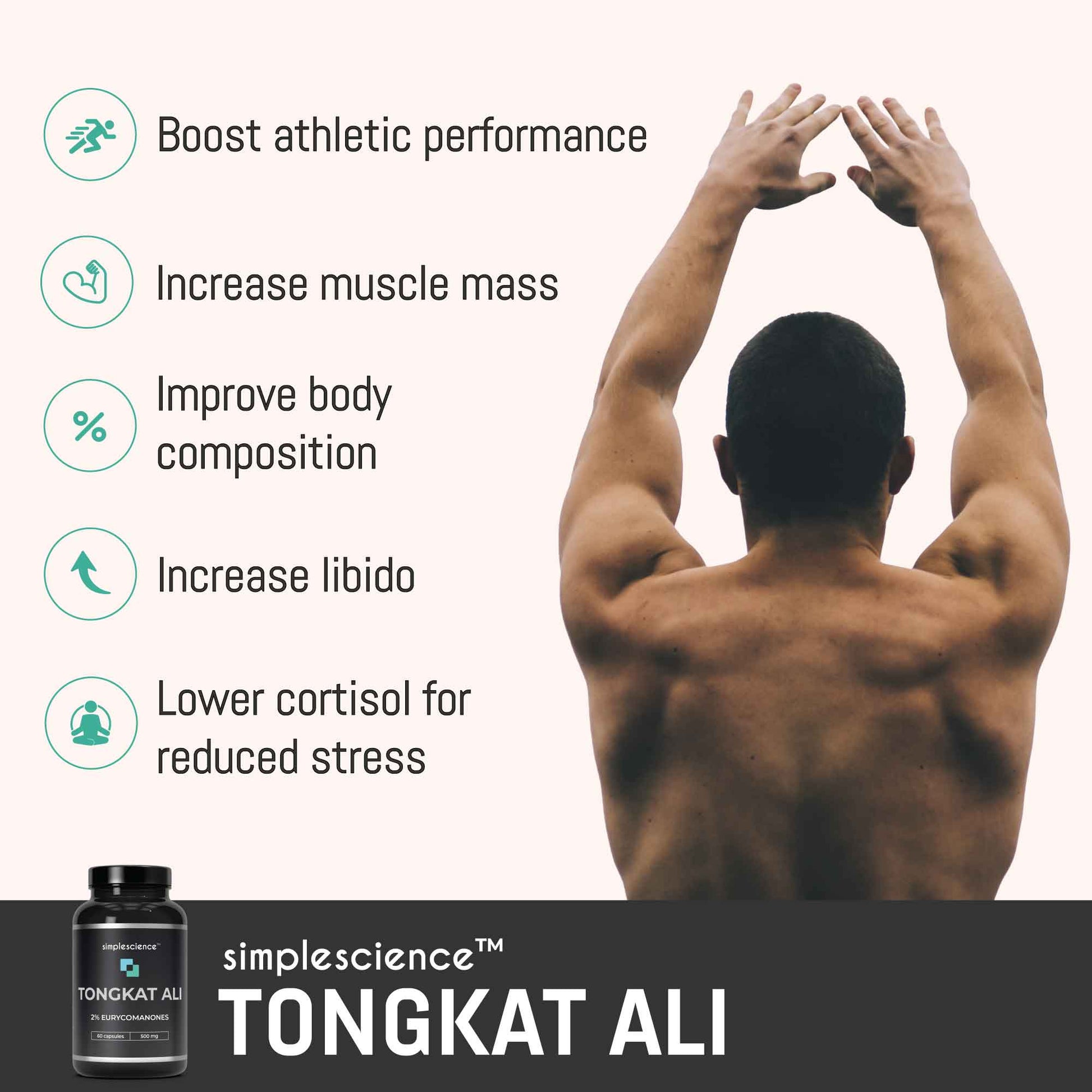 Tongkat Ali 500mg best supplement tongat tonkat booster eurycomanones Andrew Huberman stack muscle mass building simplescience 60 capsules athletic performance lower cortisol herbal