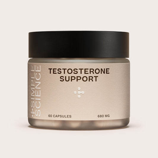 Testosterone Support for Men